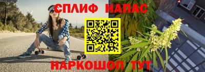 молекула духа Донецк