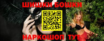 МДПВ Дубна